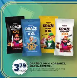 Stokrotka Draże Skawa Clown, Korsarze, Marynarze XXL oferta