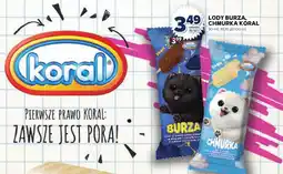Stokrotka Lody Burza, Chmurka Koral oferta