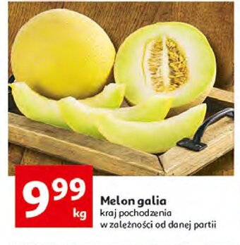 Auchan Melon galia 1 KG oferta