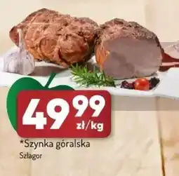 Avita Szynka góralska Szlagor oferta