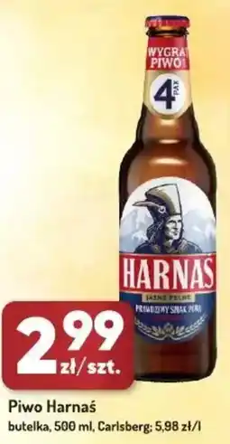 Avita Piwo Harnaś oferta