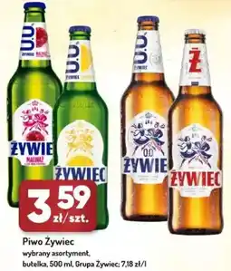 Avita Piwo Żywiec oferta