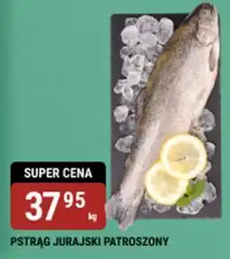 bi1 PSTRĄG JURAJSKI PATROSZONY oferta