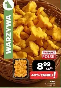 Netto Kurki oferta