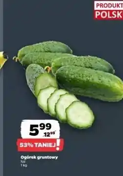 Netto Ogórek gruntowy polska oferta
