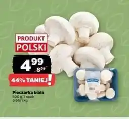 Netto Pieczarki białe Z Zieleniaka Netto oferta