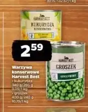 Netto Groszek konserwowy Harvest Best oferta