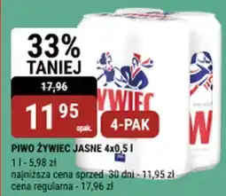 bi1 PIWO ŻYWIEC JASNE oferta