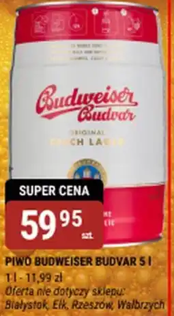 bi1 PIWO BUDWEISER BUDVAR oferta
