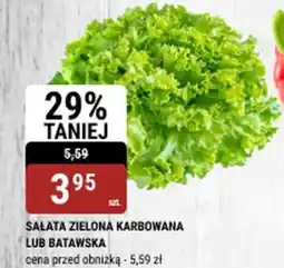 bi1 SAŁATA ZIELONA KARBOWANA LUB BATAWSKA oferta