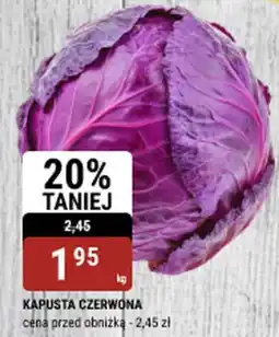 bi1 KAPUSTA CZERWONA oferta