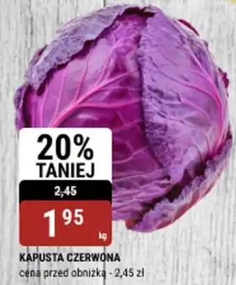 bi1 KAPUSTA CZERWONA oferta