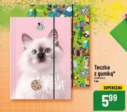 Polomarket Teczka z gumką oferta