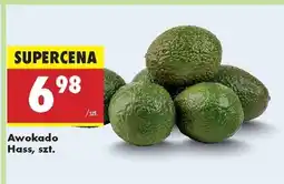 Biedronka Awokado Hass szt oferta