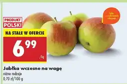 Biedronka Jabłka wczesne na wagę oferta