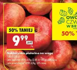 Biedronka Nektarynka platerina na wagę oferta