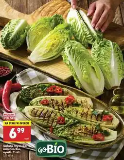 Biedronka Sałata rzymska mini Go Bio, opak. 2 szt oferta