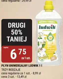 bi1 PŁYN UNIWERSALNY LUDWIK oferta