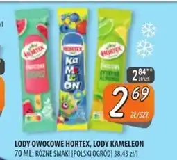 Społem Szczecin Lody Hortex oferta