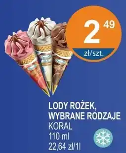 Rabat Lody Koral oferta