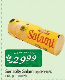 Cezar Delikatesy Ser Spomlek oferta
