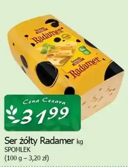 Cezar Delikatesy Ser Radamer oferta