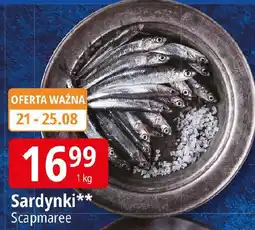 E.Leclerc Sardynki oferta