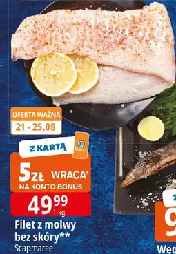 E.Leclerc Filet z molwy bez skóry oferta