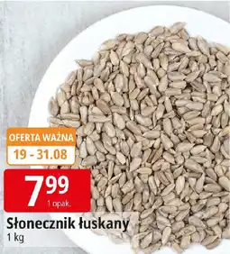 E.Leclerc Słonecznik łuskany oferta