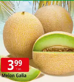E.Leclerc Melon Galia oferta