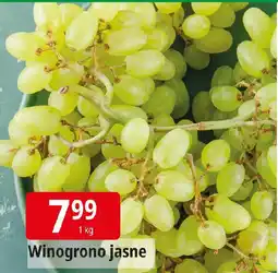 E.Leclerc Winogrono jasne oferta