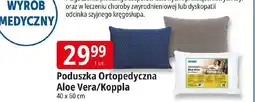 E.Leclerc Poduszka Ortopedyczna Aloe Vera/Koppla oferta