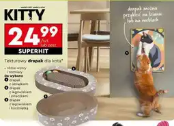 Biedronka Tekturowy drapak dla kota oferta
