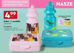 Biedronka Bidon lub pudełko na lunch oferta
