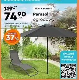 Biedronka Parasol ogrodowy oferta
