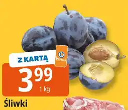 E.Leclerc Śliwki oferta