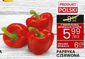Wafelek PAPRYKA CZERWONA oferta