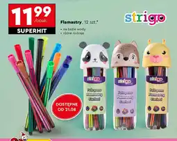 Biedronka Flamastry w tubie Strigo oferta