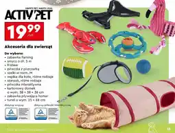 Biedronka Tunel dla kota składany Activ Pet oferta