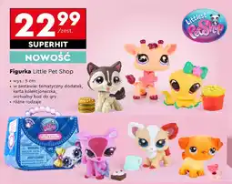 Biedronka Figurka littlest pet shop oferta