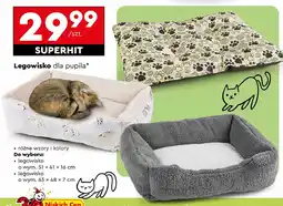 Biedronka Legowisko dla psa 63 x 48 7 cm oferta
