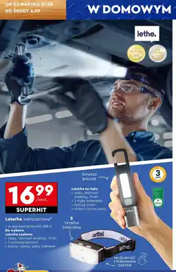 Biedronka Latarka na haku Lethe oferta