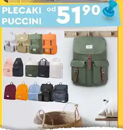 Biedronka Plecak podróżny Puccini oferta