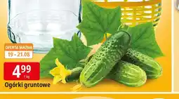 E.Leclerc Ogórek gruntowy oferta