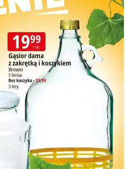 E.Leclerc Gąsior dama 3 l Browin oferta