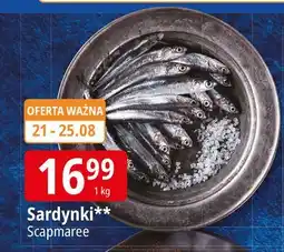 E.Leclerc Sardynki Scapmaree oferta