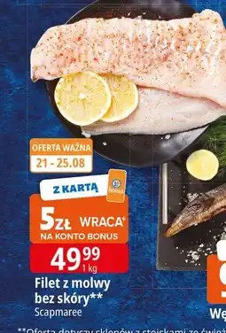 E.Leclerc Molwa filet bez skóry Scapmaree oferta