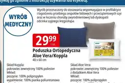 E.Leclerc Poduszka ortopedyczna koppia 40 x 60 cm Wendre oferta