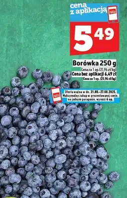 Topaz Borówka amerykańska TOPAZ oferta