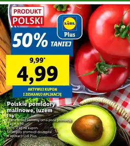 Lidl Awokado Hass Lidl oferta